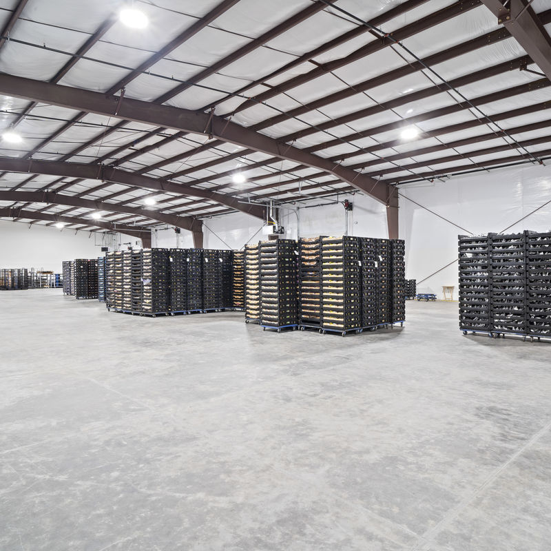 Fire Proof Commercial Steel Structure Workshop Building with Sandwich Panel