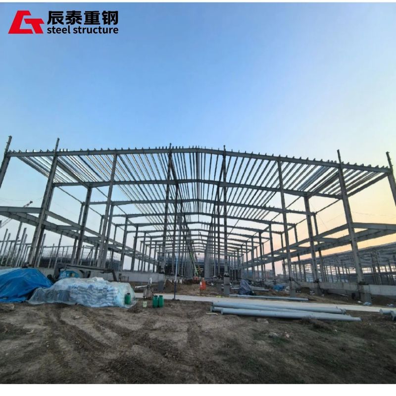 Anti Corrosion Large Space Steel Structure Cold Chain Warehouse Steel Structure