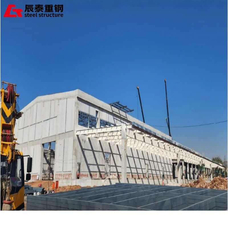 Anti Corrosion Large Space Steel Structure Cold Chain Warehouse Steel Structure